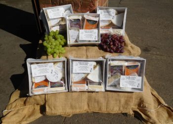 Essential Cheese Box