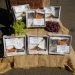 Essential Cheese Box