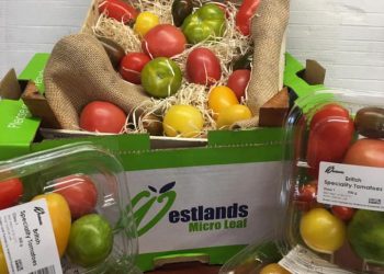 Broadway Heritage Tomatoes