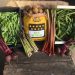 New Season Produce