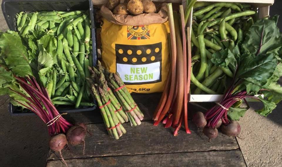 New Season Produce