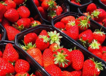 Strawberries Available!