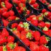 Strawberries Available!